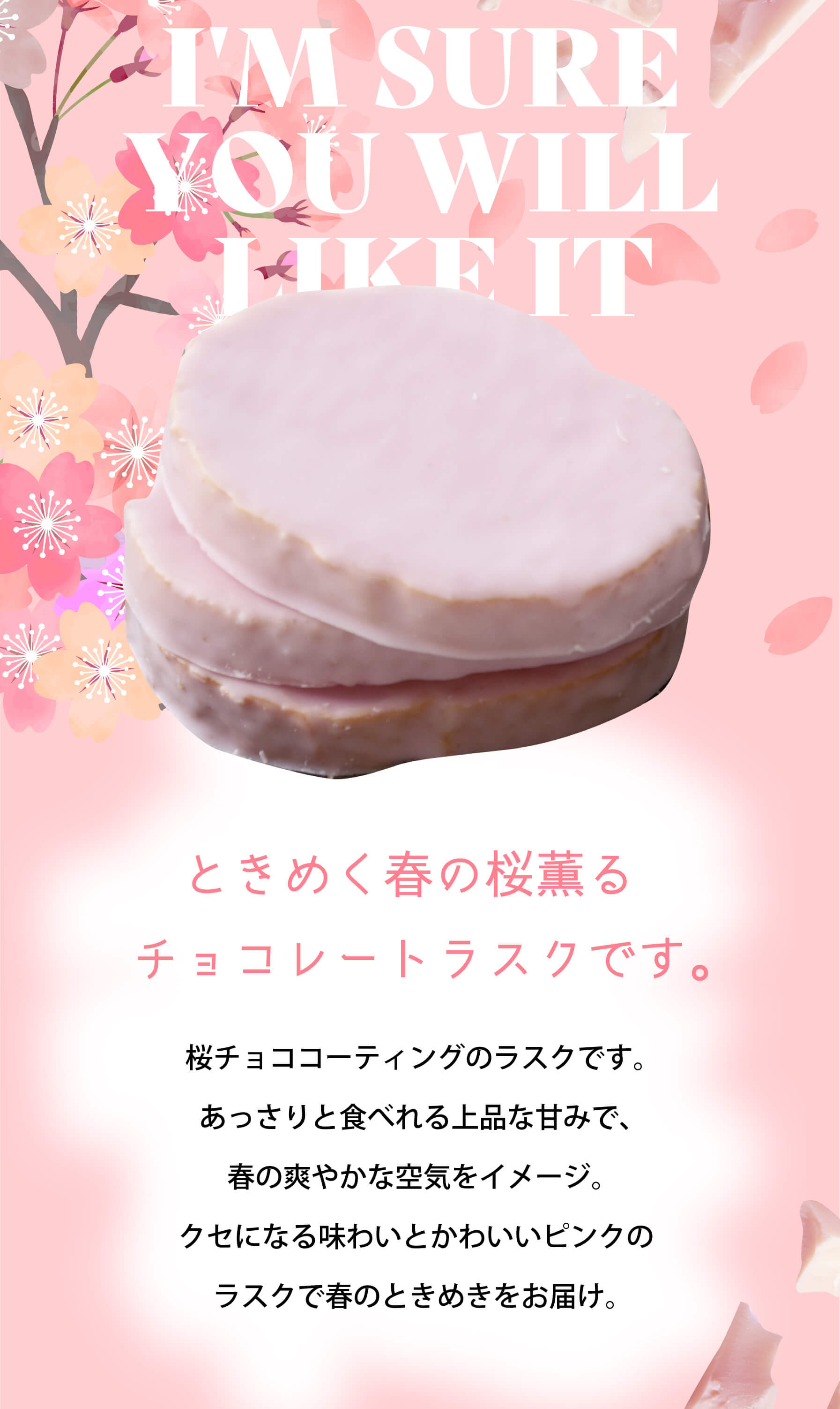 さくらチョコラスク